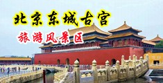 屌插美妇居视频中国北京-东城古宫旅游风景区
